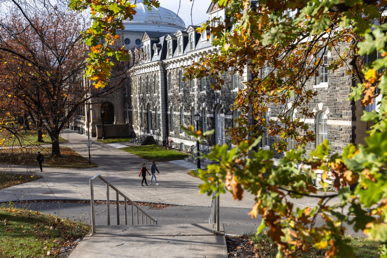 newsweek.com - Alison Bulman - I Went to Cornell. What Happened at Chi Phi Didn't Shock Me | Opinion