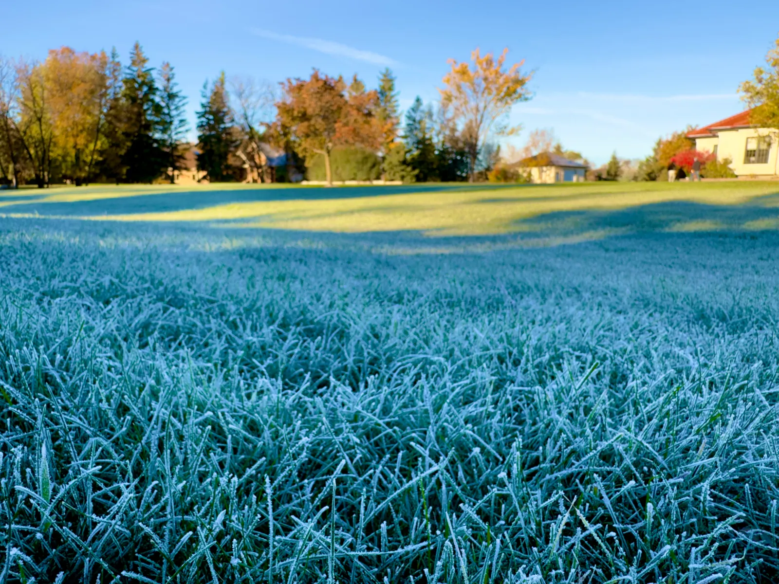 As Frost Advisories Rise, a Seasonal Reminder of Nature's Rhythm