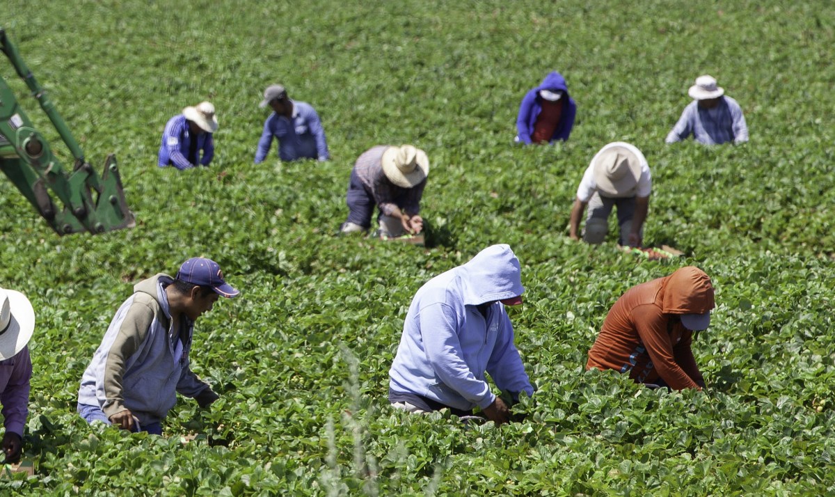 America’s Labor Shortage Is Bigger Than the Local Hiring Pool | Opinion