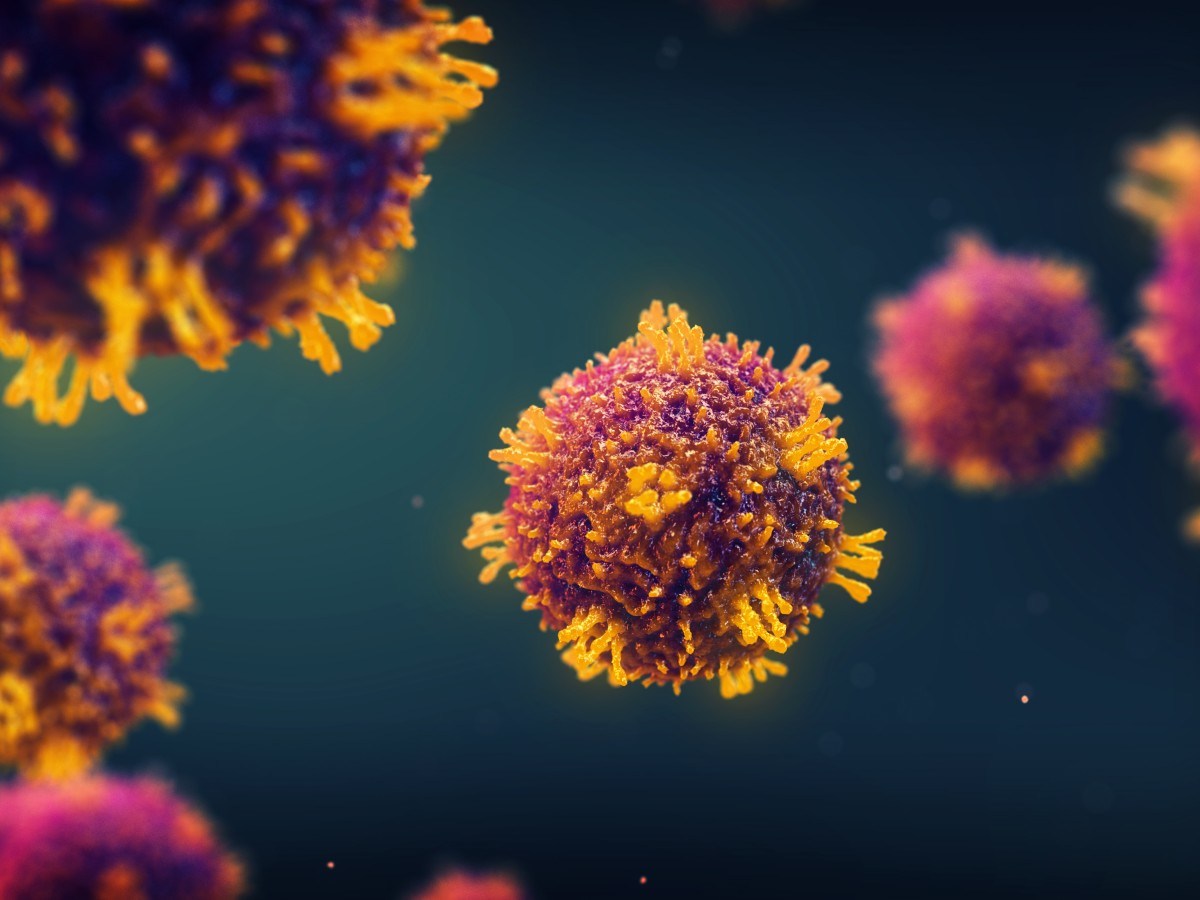 Scientists Warn Florida Could Face Its Biggest Measles Outbreak in Decades