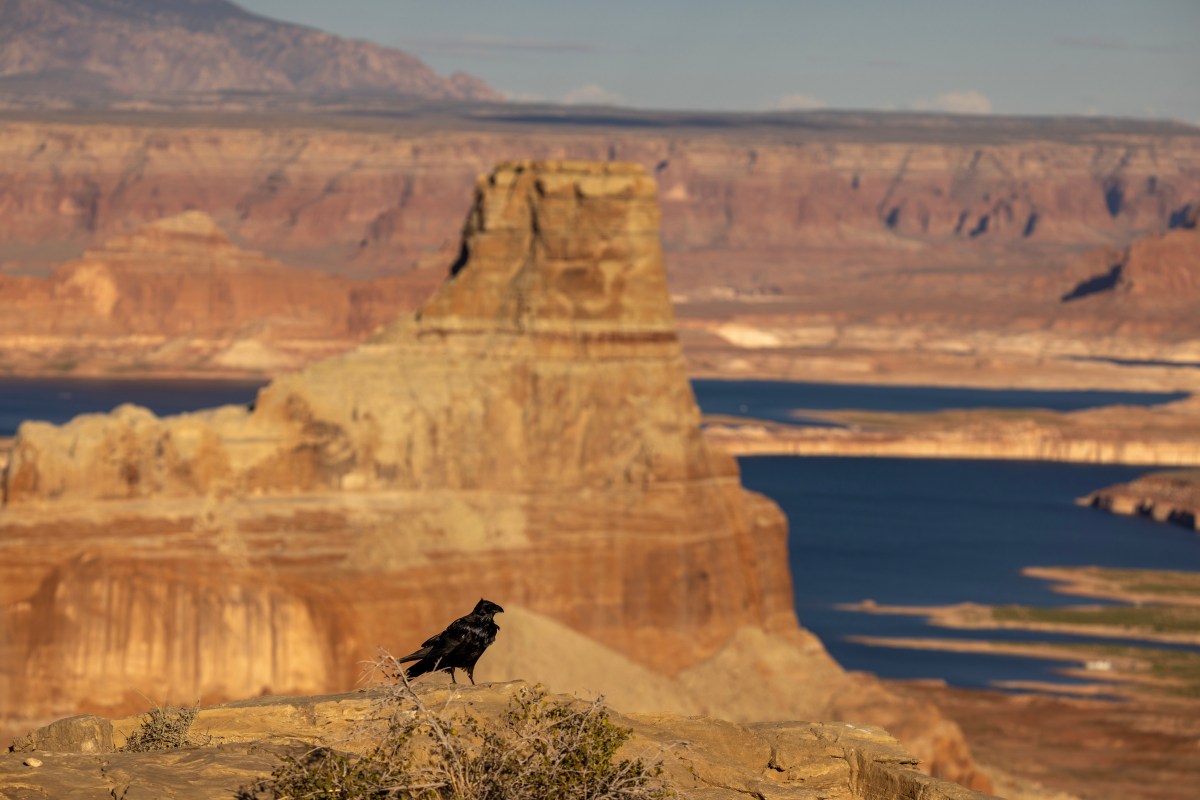 Lake Mead Water Levels Projected to Sharply Drop as Lake Powell Benefits