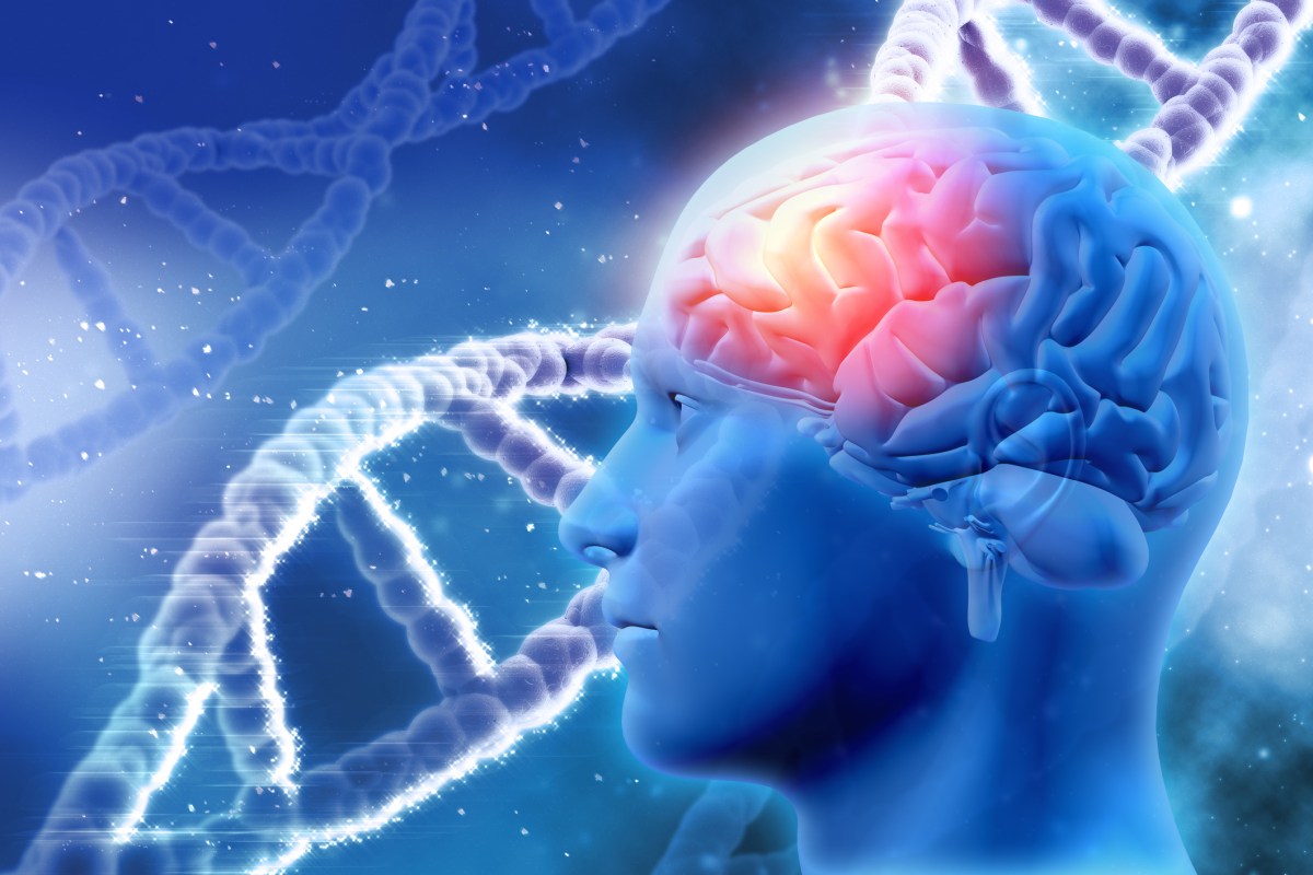 Why Some People With a High-Risk Alzheimer's Gene Never Develop It