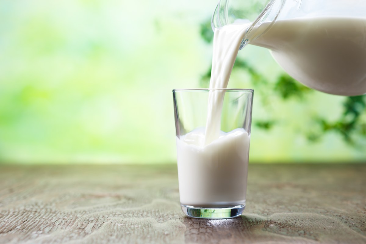 Raw Milk Outbreaks Are Hitting America's Youngest Consumers