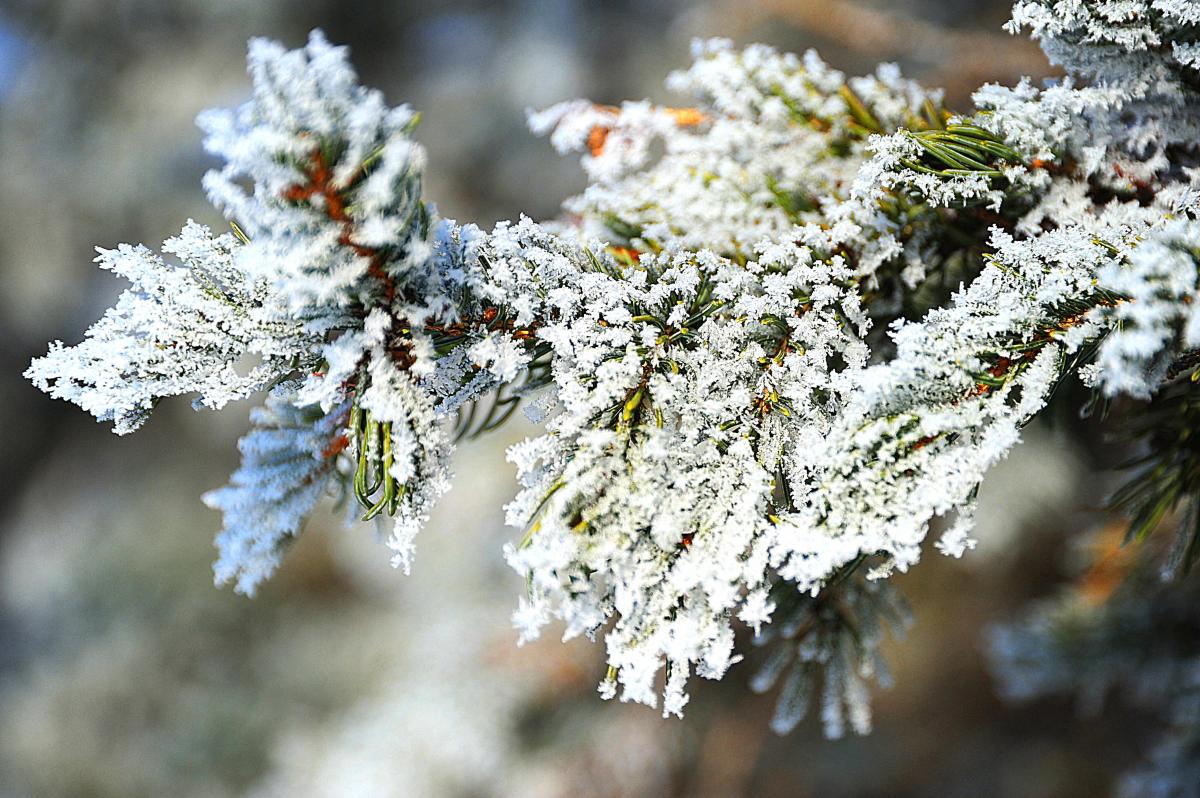 Frost Warnings Span Seven States as Early Fall Cold Blast Sweeps the Region