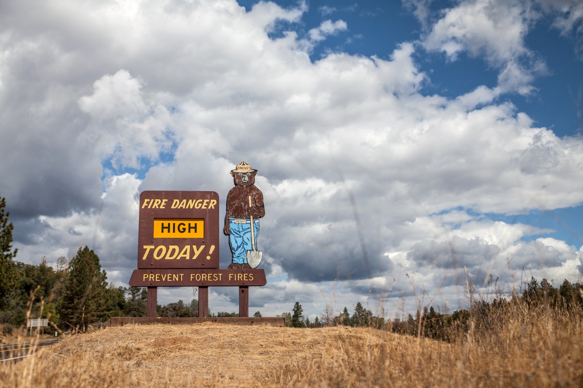 Smokey Bear and the Environmental Bandits | Opinion