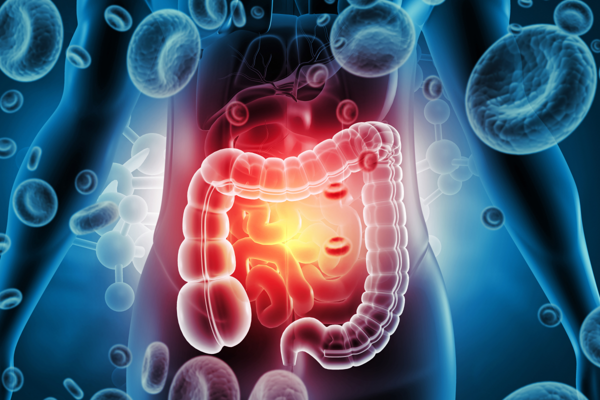 Gut Bacteria May Affect Brain Chemistry, First Human Study Finds