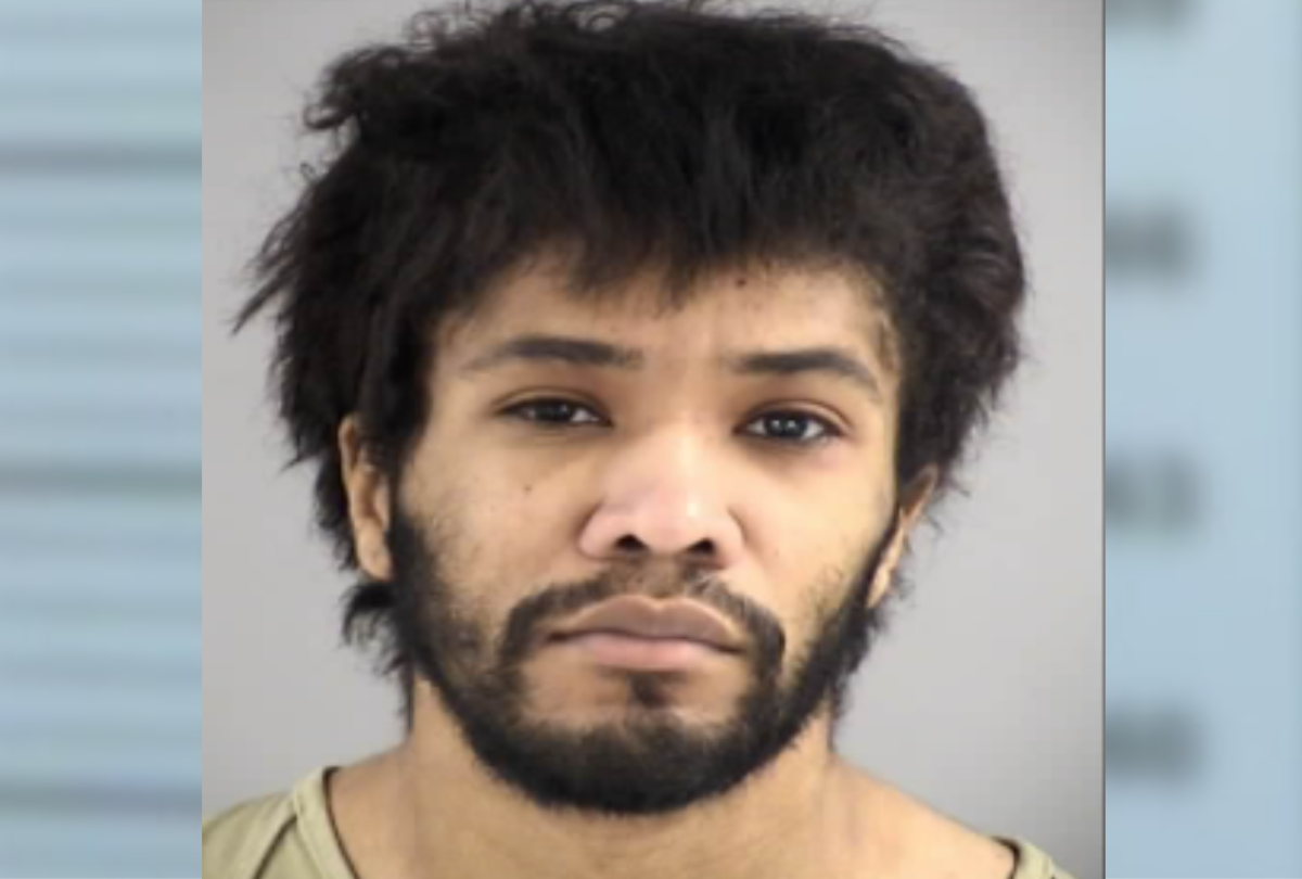Man Who Tortured Cats for Profit Gets 15 Years