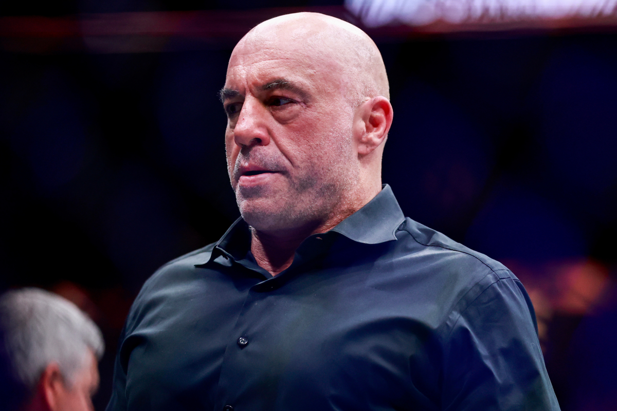 Joe Rogan's AI Government Idea Draws Stark Warning From Ethics Expert