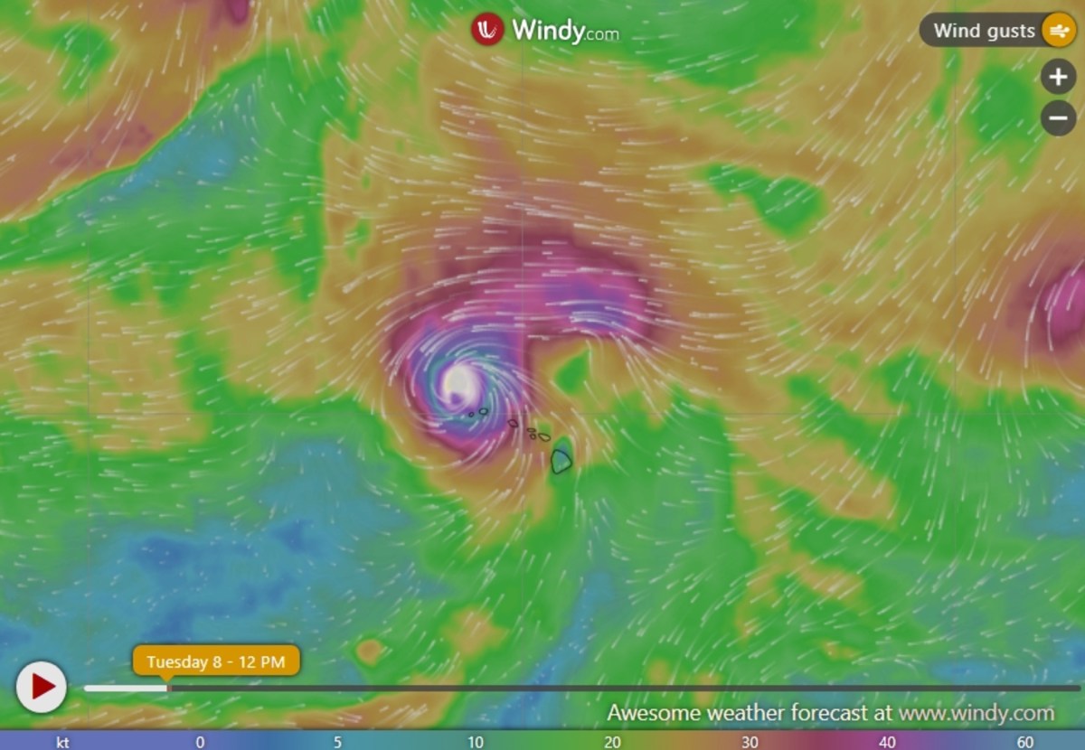 Hurricane Lowell Live Tracker Maps, Full List of Warnings in Hawaii