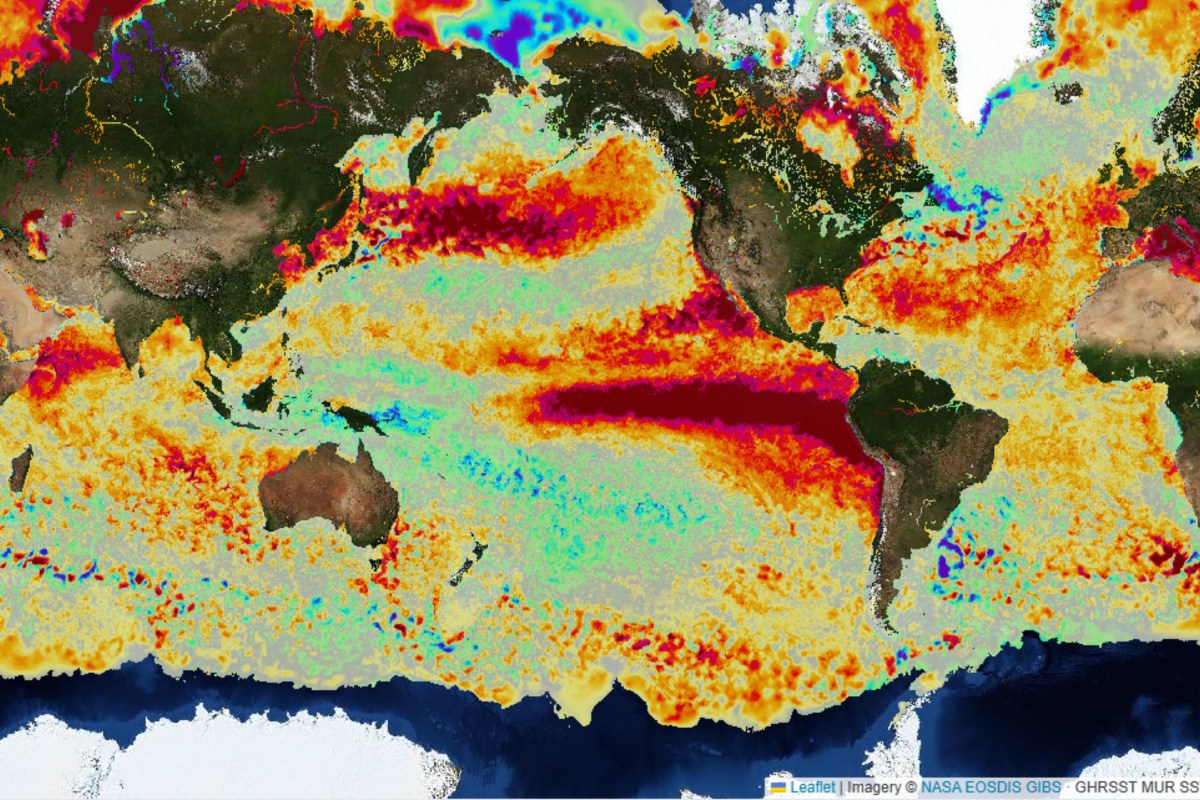 Super El Niño Live Map Shows Its Tongue Swelling Toward Winter Peak