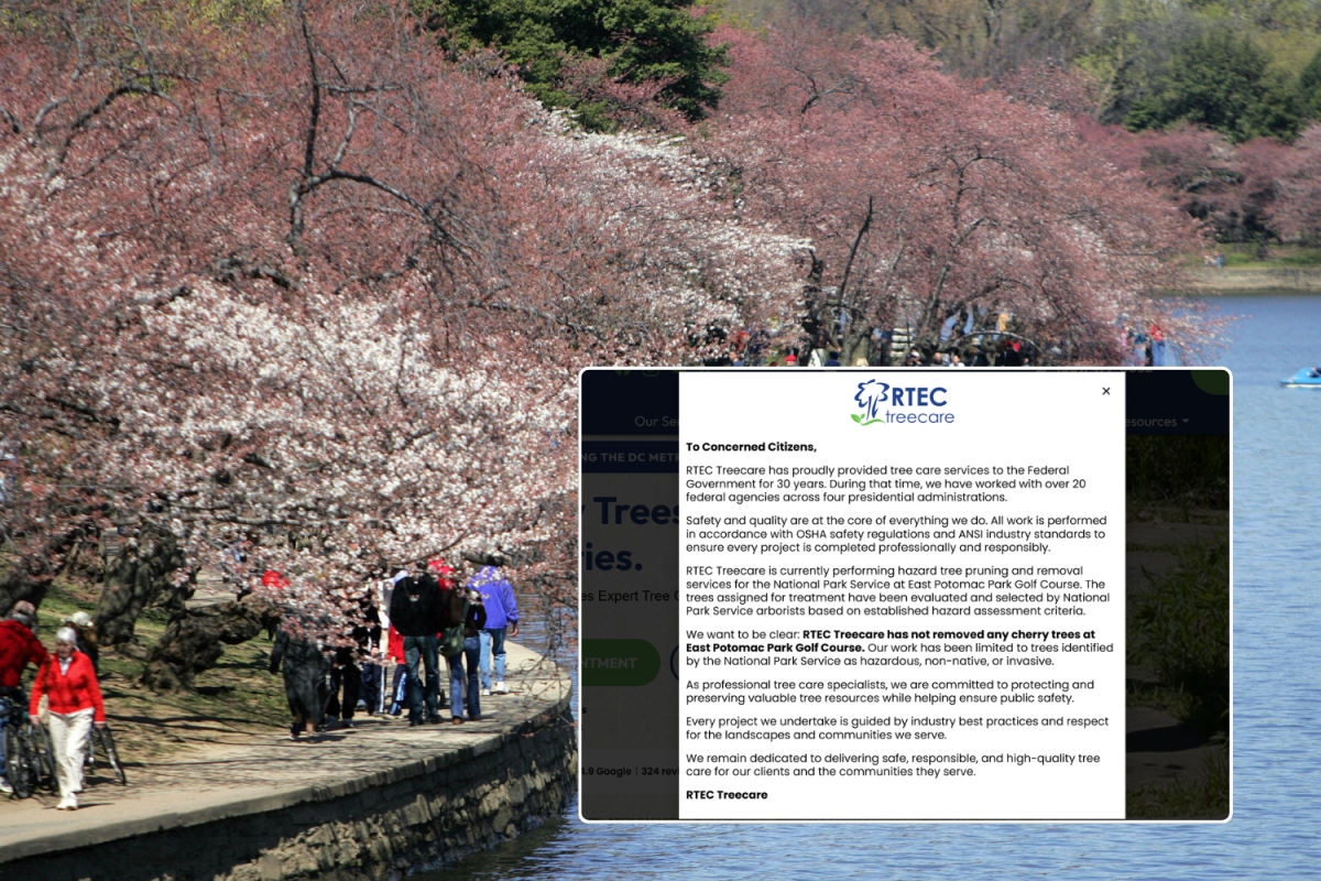 Company Denies Felling DC Cherry Trees After Flurry of Negative Reviews Company Denies Felling DC Cherry Trees After Flurry of Negative Reviews