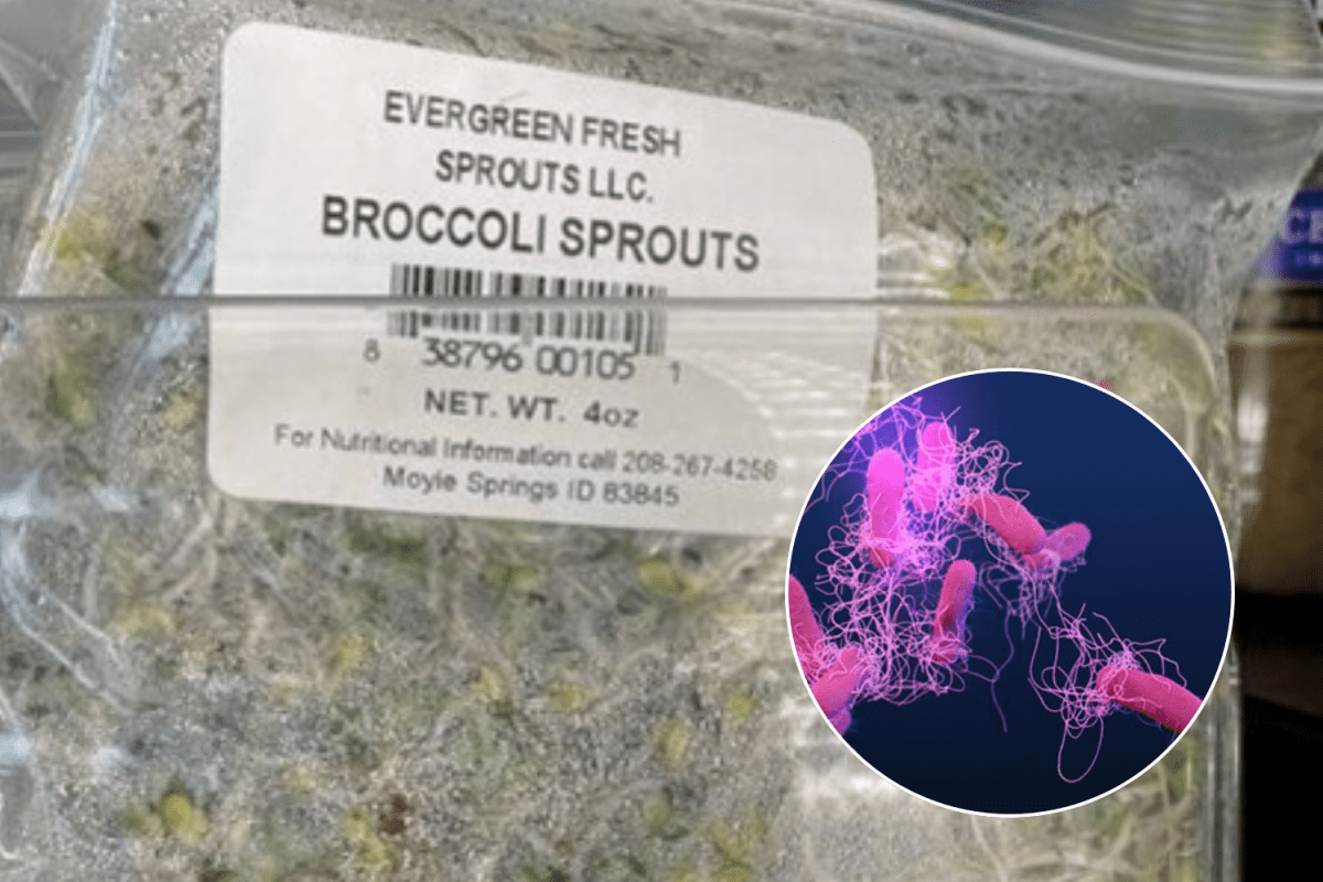 Broccoli Sprouts Recall As Salmonella Outbreak Spreads to Four States