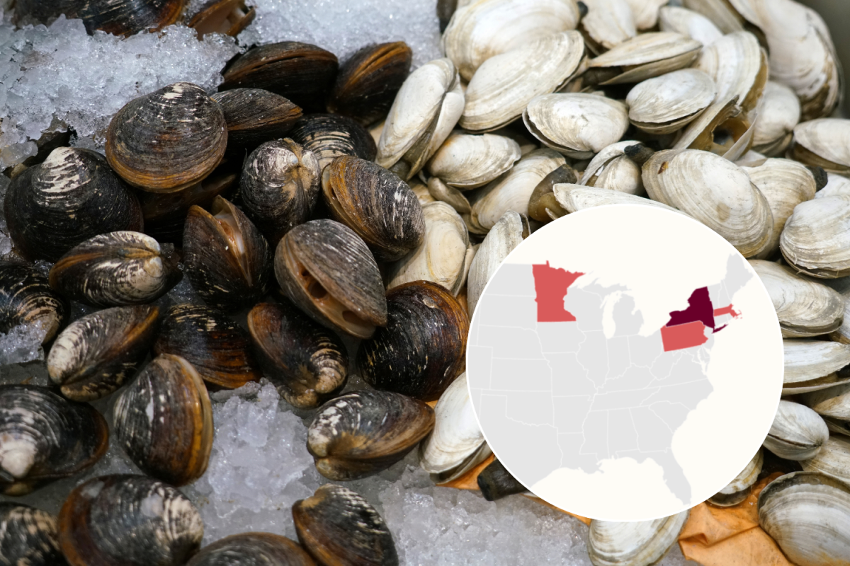 Map Shows Hepatitis A Cases As Outbreak Linked to Frozen Clams