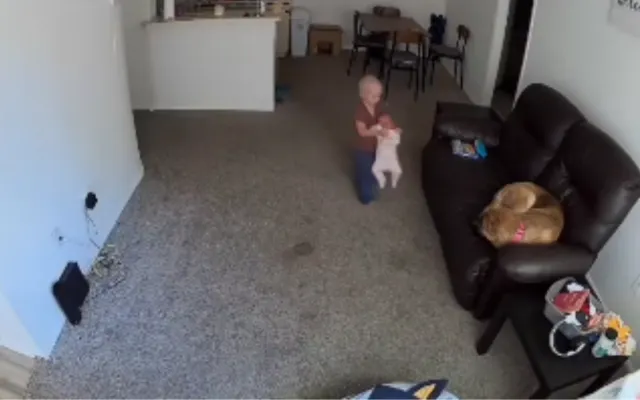 Jessica Fortner watched her son Greyson, 2, carrying his newborn sister Everleigh across the room.