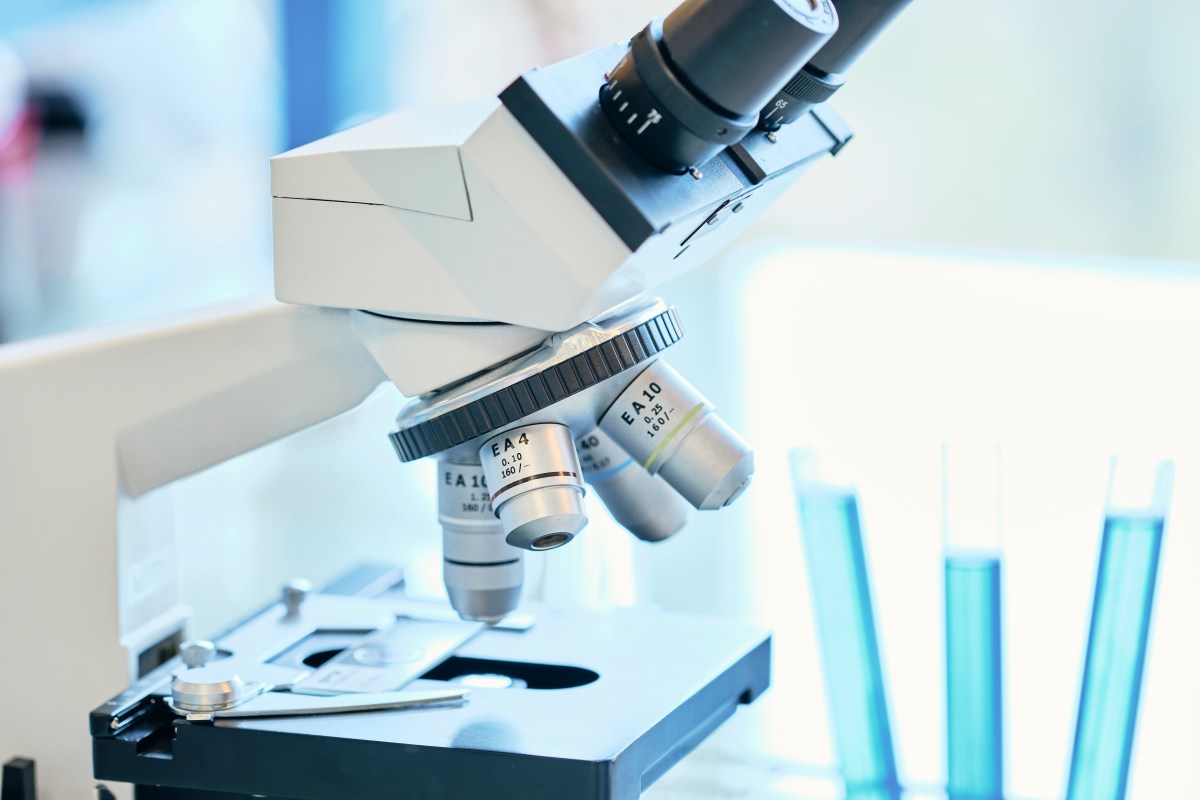 Russian 'Plague' Update: Experts Warn of Possible Biological Agent