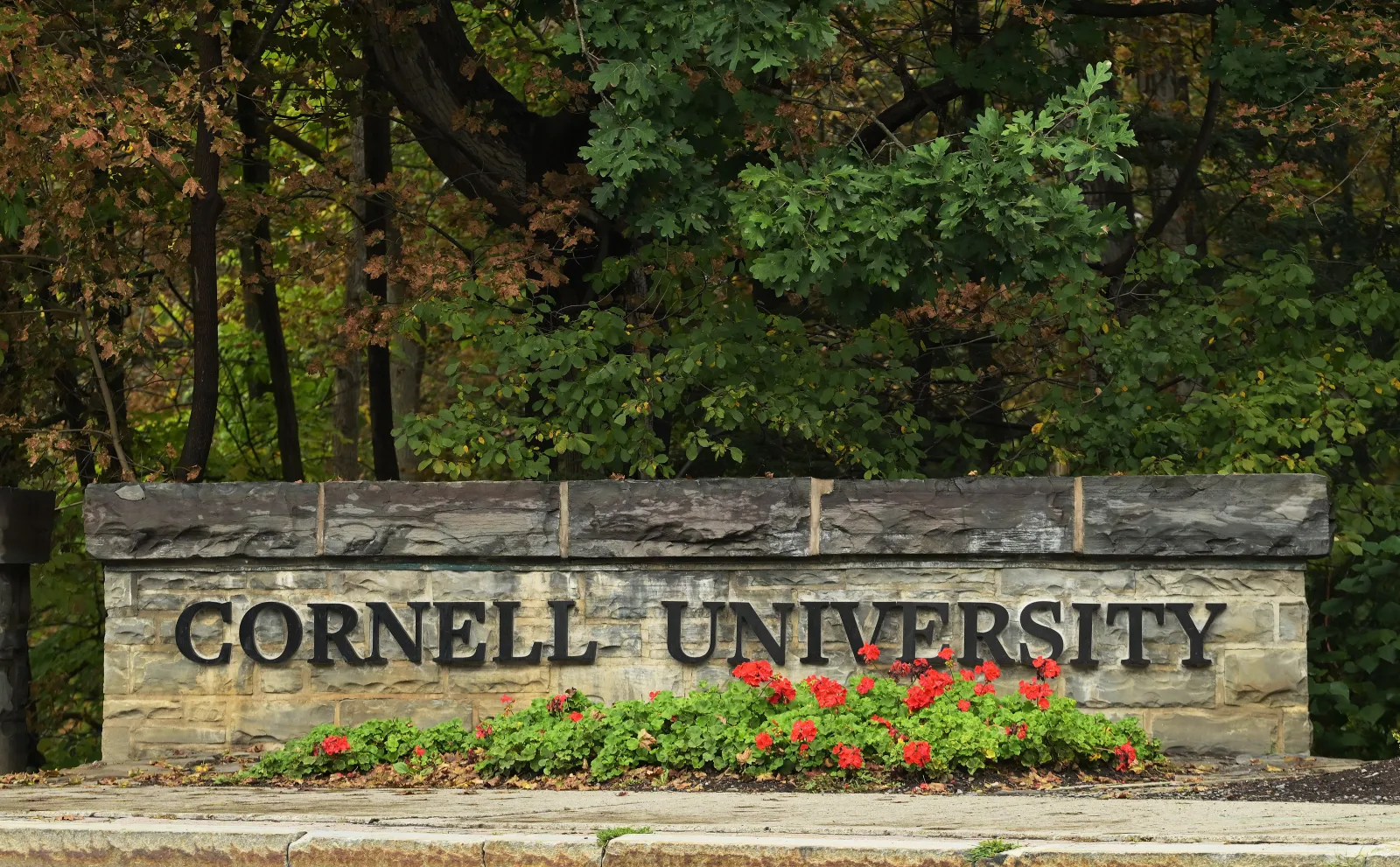 Image for article: Cornell Accuser ‘Absolutely Terrified’ as Judge Seals Filings Over Threats