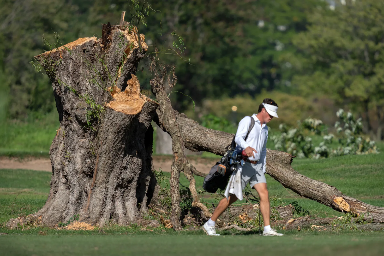 A golfer walks past the stump of a large tree at East Potomac Golf Links in Washington, D.C., amid a legal battle over the Trump administration’s tree-removal operation, on October 12, 2026.