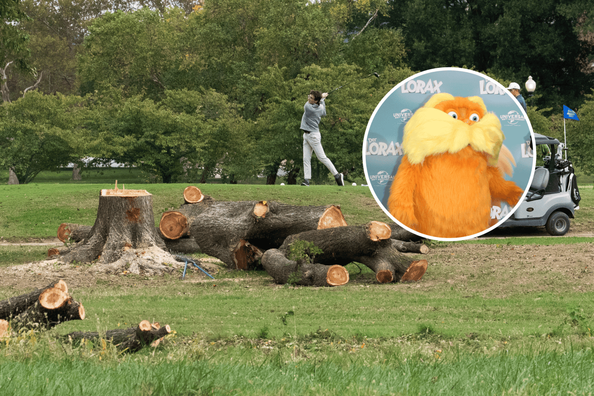 Judge Invokes The Lorax As She Blocks Trump From Cutting Down Trees