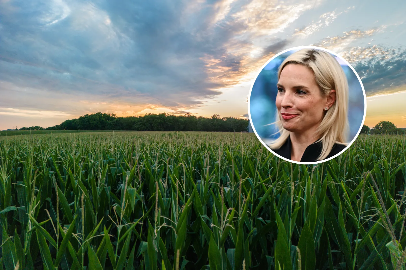 Stock image of a corn field. Inset: Iowa Representative Ashley Hinson.