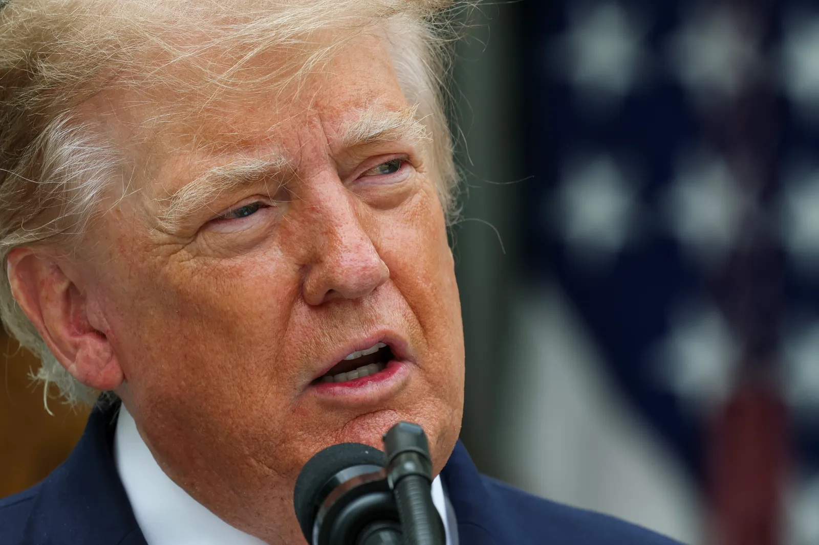 President Donald Trump speaks during a luncheon in the Rose Garden of the White House on October 15, 2026 in Washington, DC.