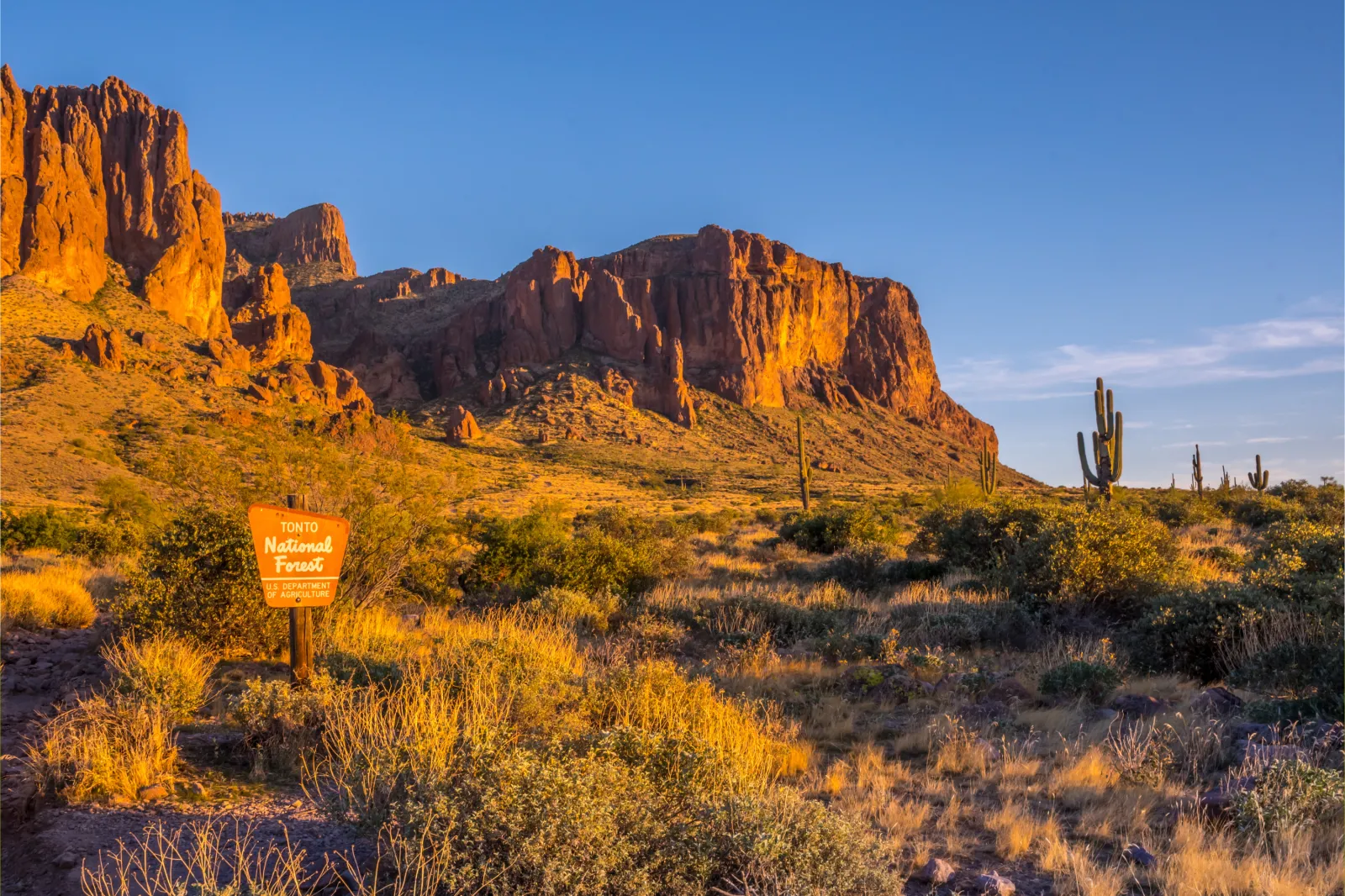 Tonto National Forest, in Arizona on October 30, 2019