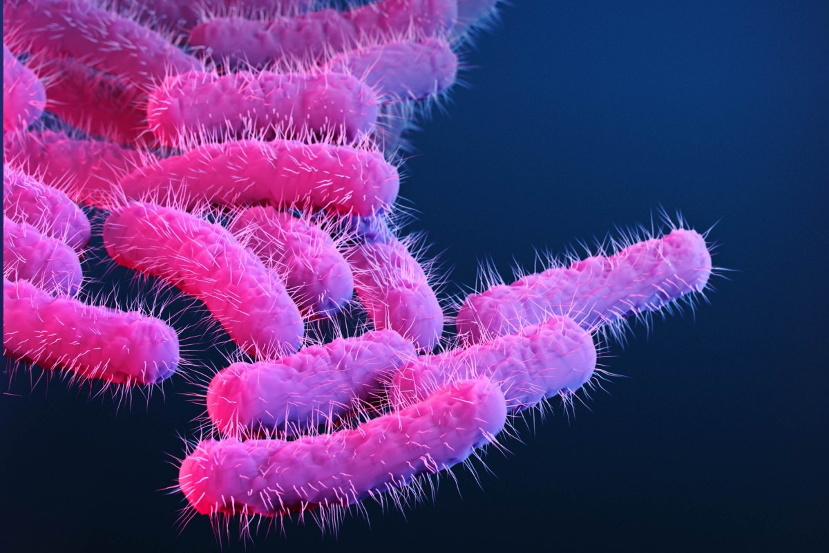 Sexually Transmitted Diarrhea Becoming Drug Resistant—Should US Be Worried?