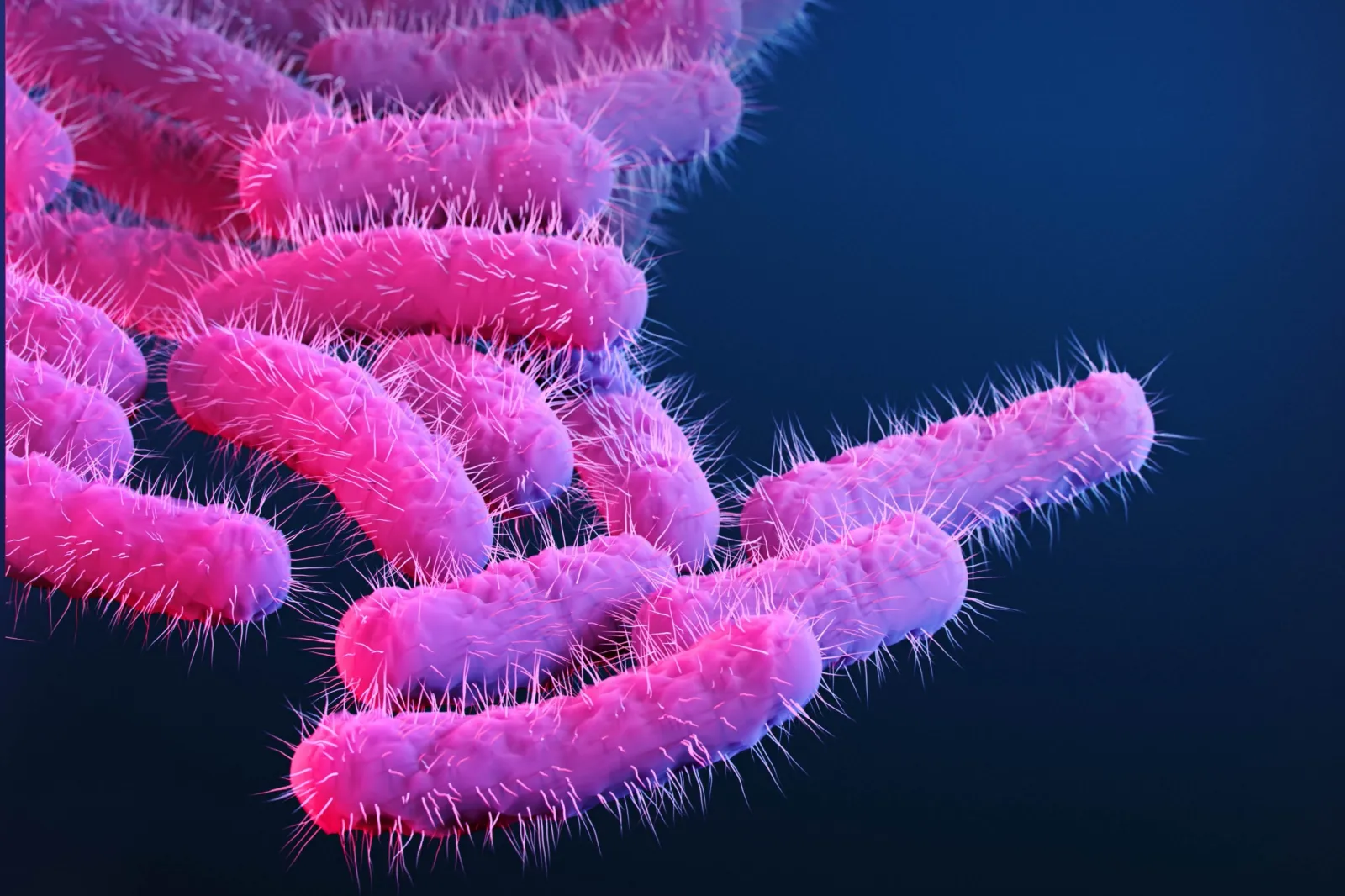 A medical illustration depicting drug-resistant Shigella.