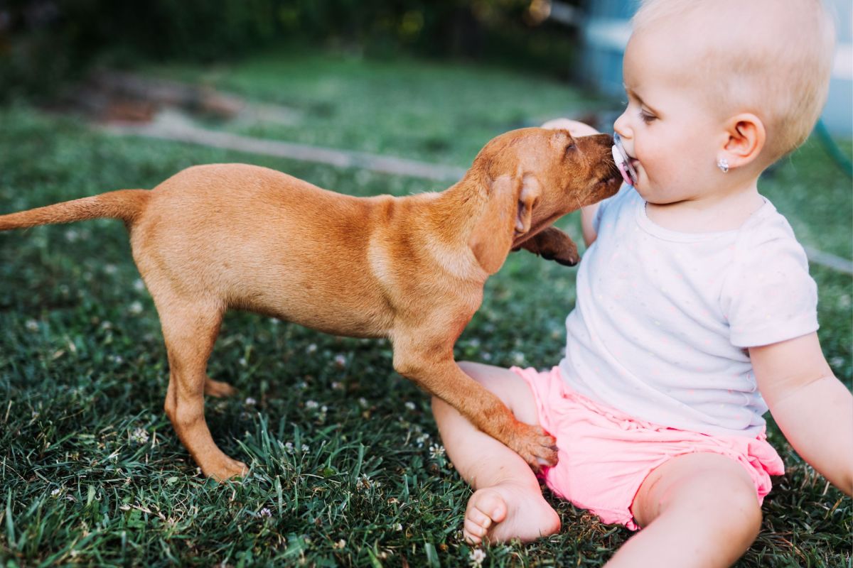 Should New Parents Get a Puppy Too? Experts Weigh the Pros and Cons