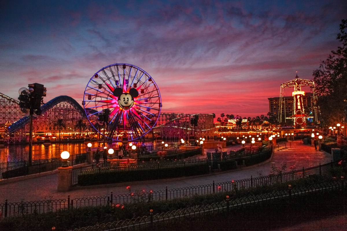 Disneyland Partially Shut Down After Suspicious Device Found
