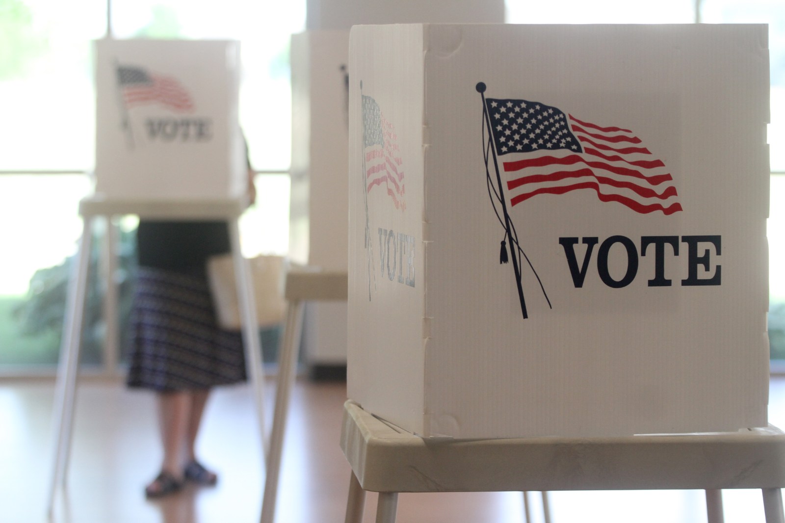 newsweek.com - Anna Skinner - AI cash is pouring into midterms. How will it impact voters?