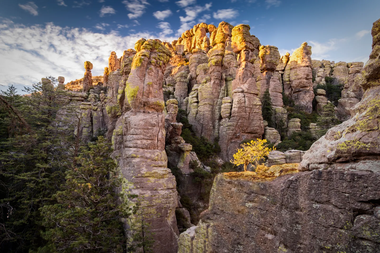 Rock pillars at the Chiricahua National Monument near Wilcox Arizona.