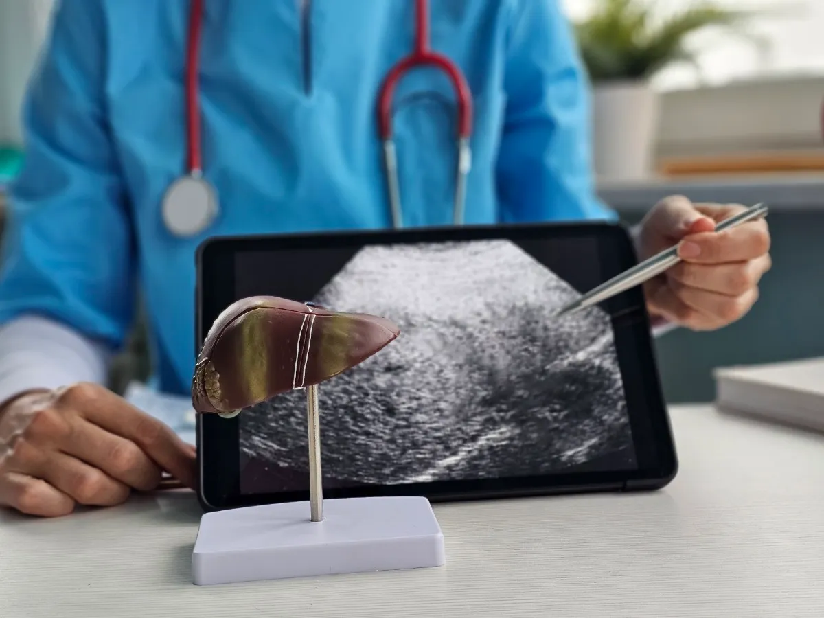 A doctor shows a liver model while pointing to an ultrasound of the liver on a tablet.