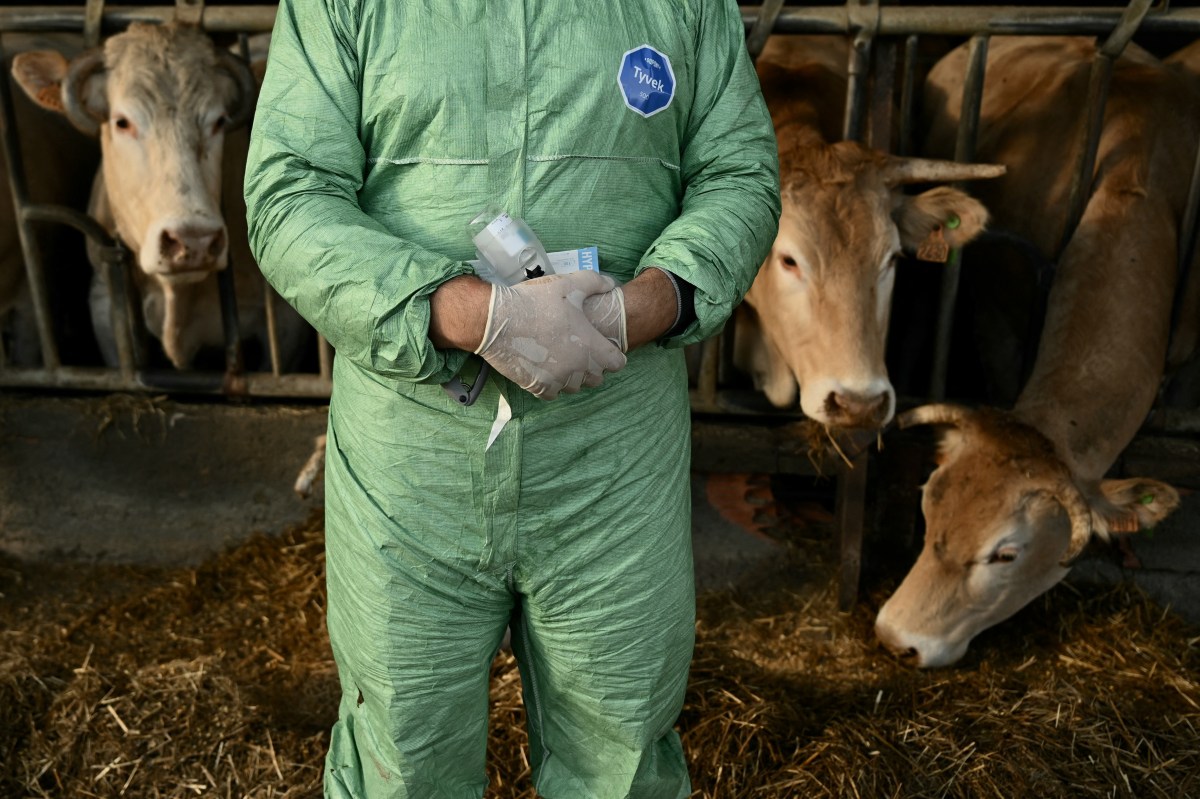 Animal Health Progress is Human Health Progress | Opinion