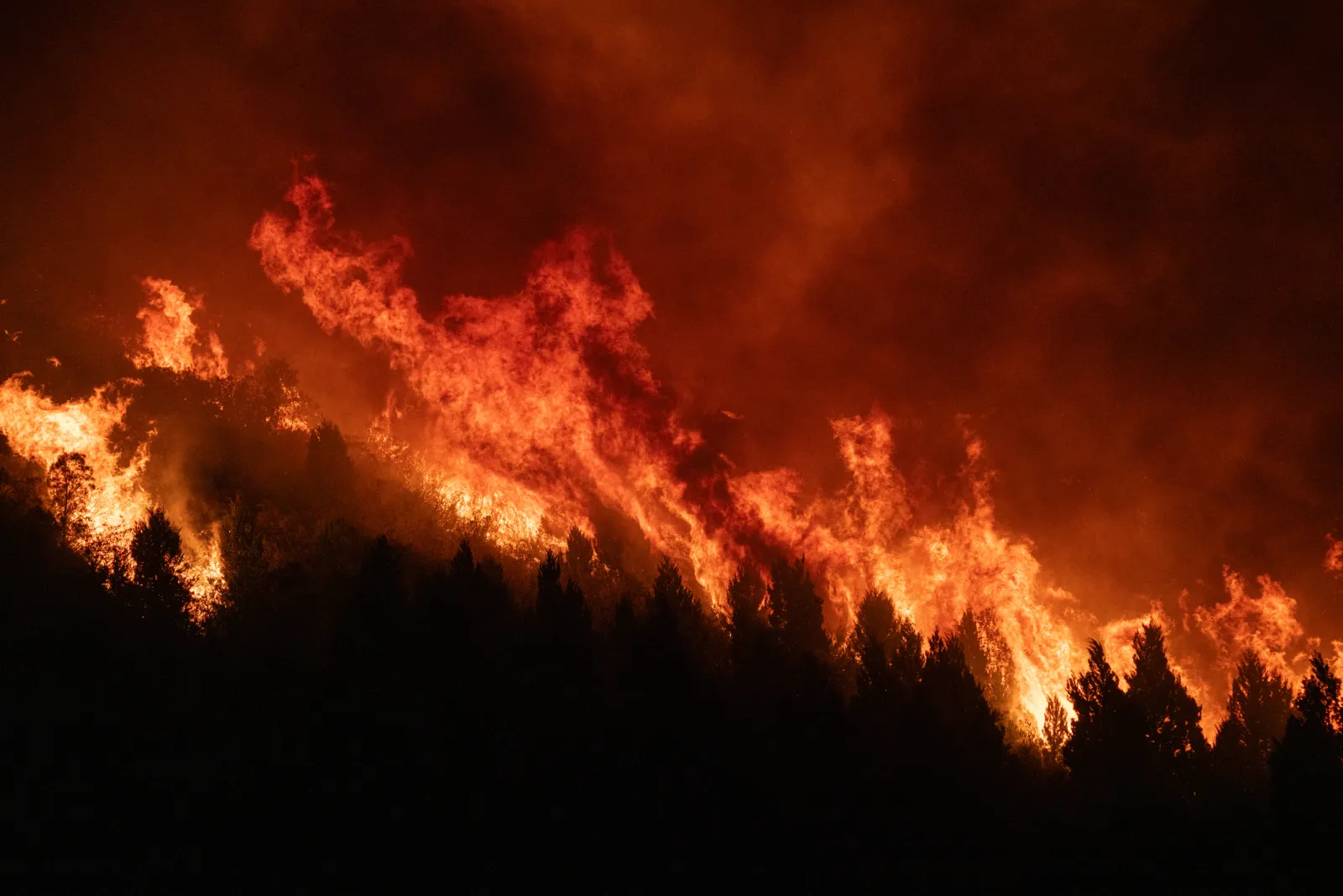 A stock image of a wildfire. A fire broke out at Canada's CFB Wainwright military base in Alberta on Saturday.