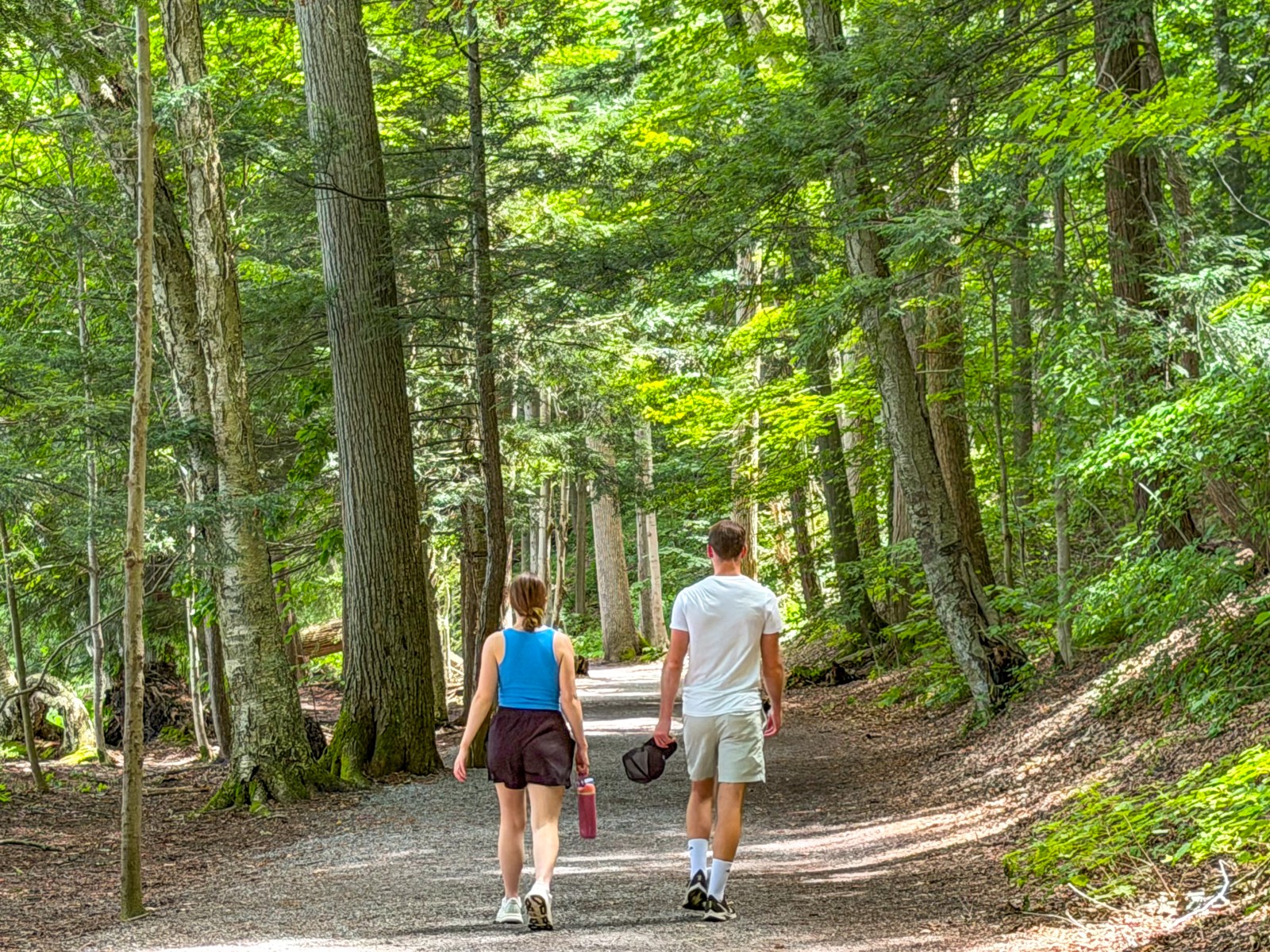 newsweek.com - Rufus Thompson - AI Is Joining Human Conversations on 'Forest Walks'