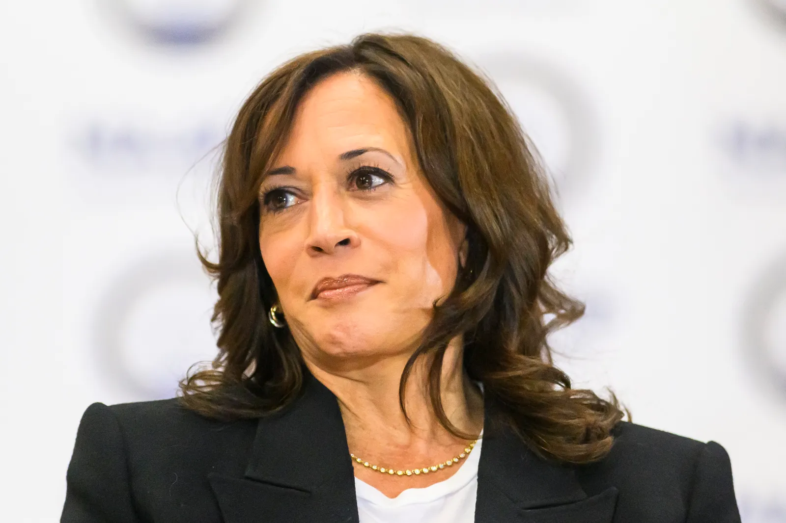Former U.S. Vice President Kamala Harris participates in a fireside chat (Photo by Katy Kildee-Pool/Getty Images)
