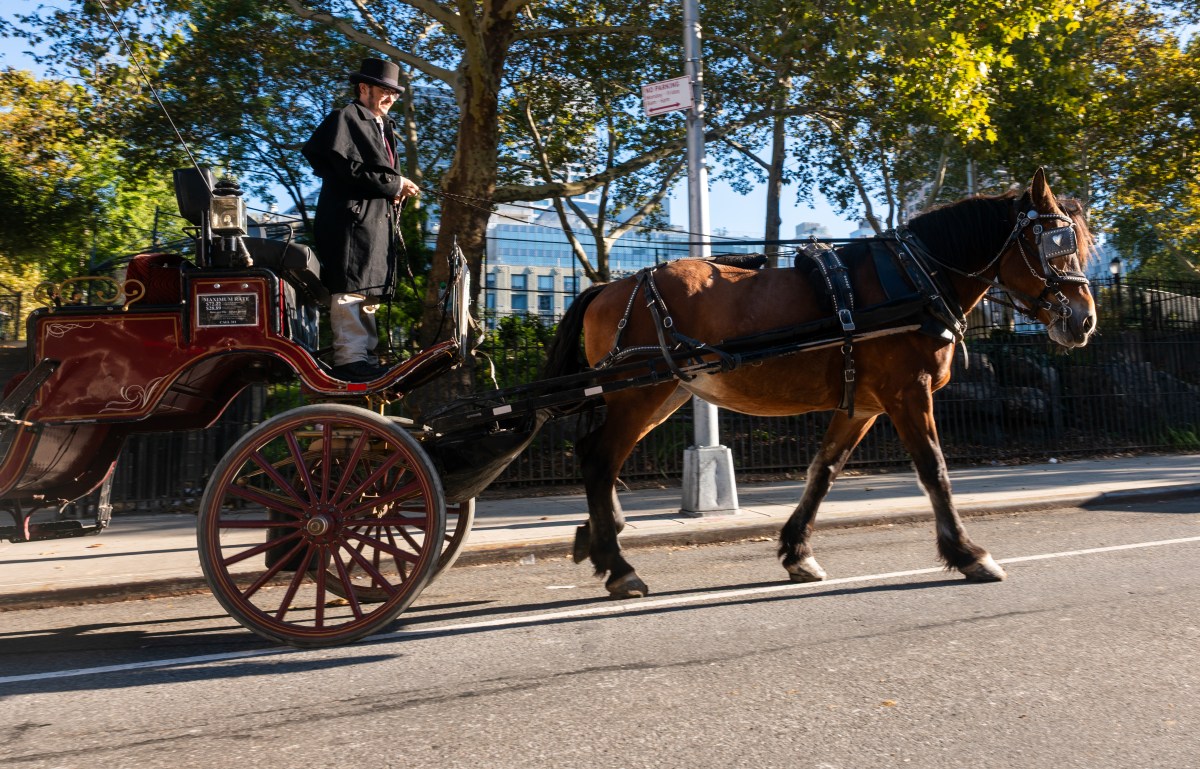 Trump Slams Mamdani Ban on NYC’s Horse-Drawn Carriages: 'Great Tradition'