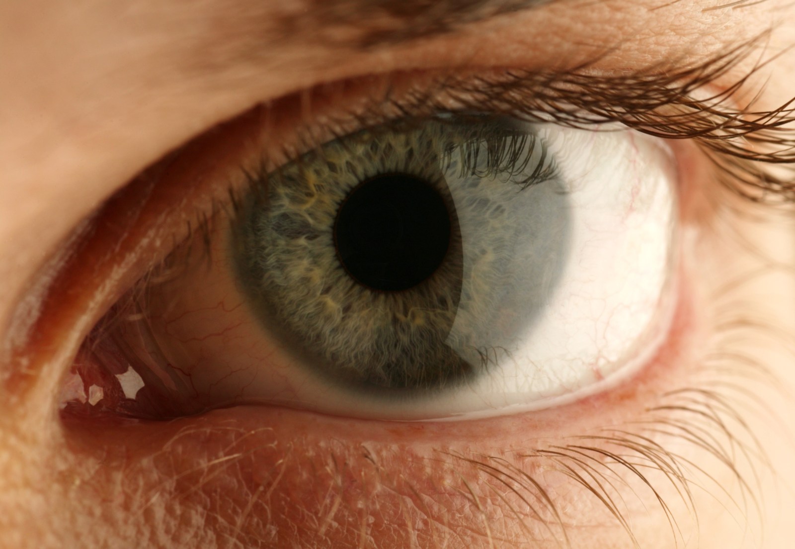 newsweek.com - Joel Friedman - Contact lenses are changing because our lives are changing | Opinion