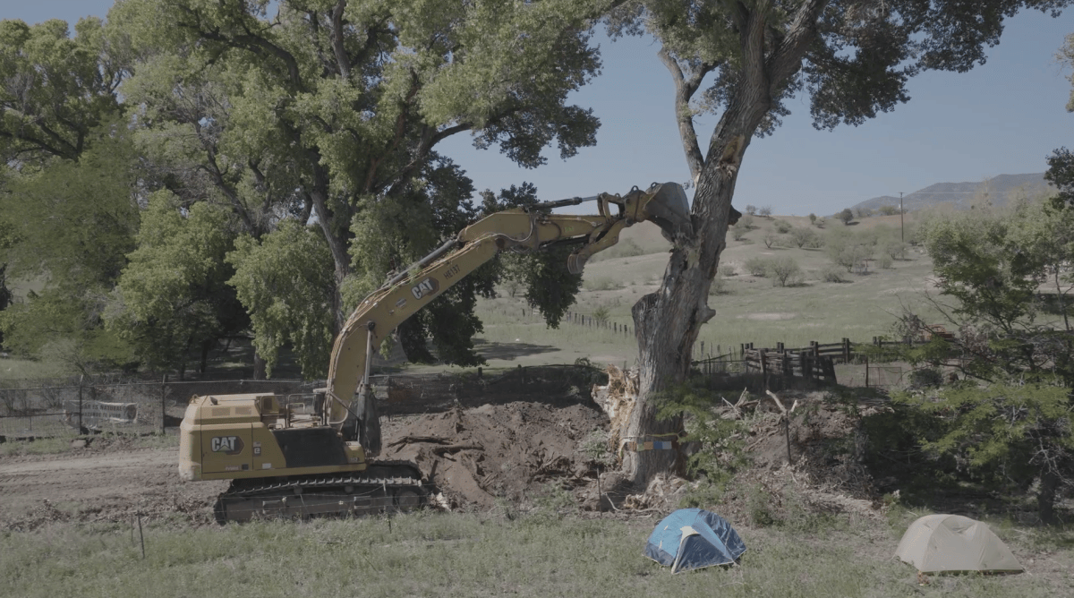 'Grandmother Tree' Toppled for Border Wall as Activists Clash With Agents