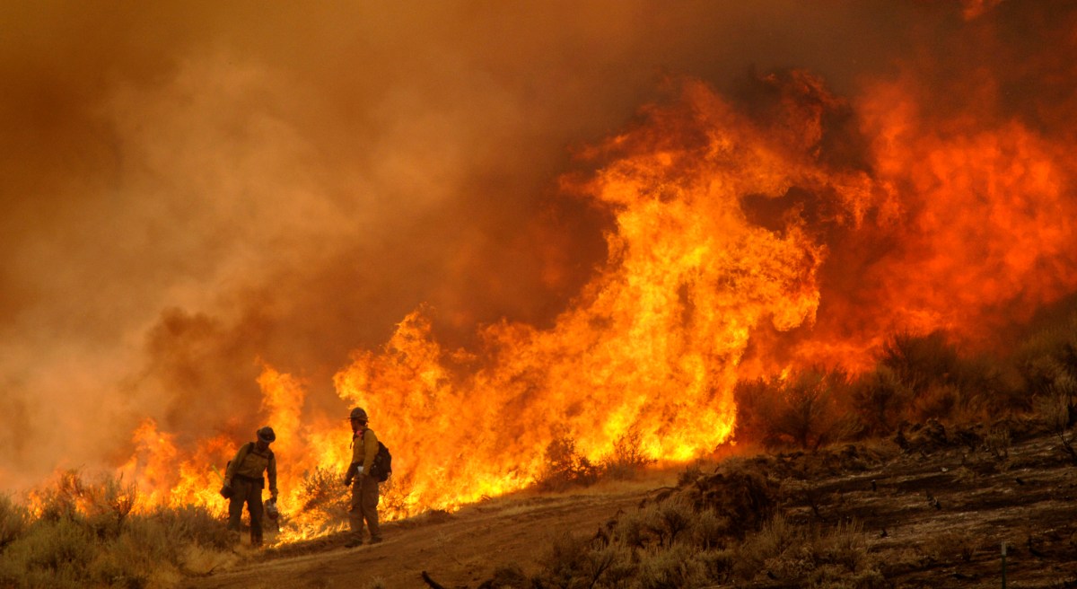 Map Shows States Facing Higher Wildfire Risk During El Niño
