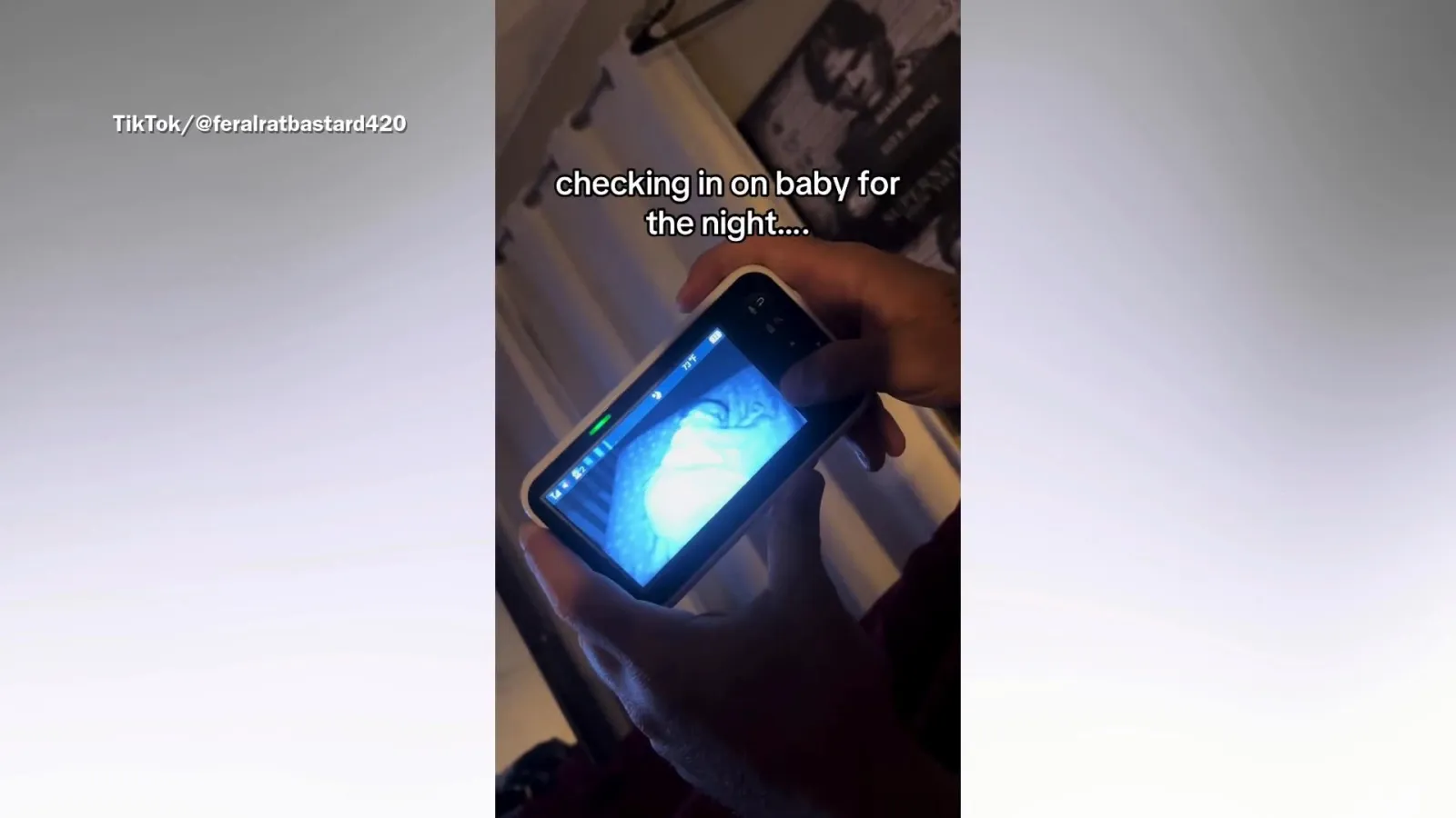 Parents Find Cat On Baby Monitor - Newsweek